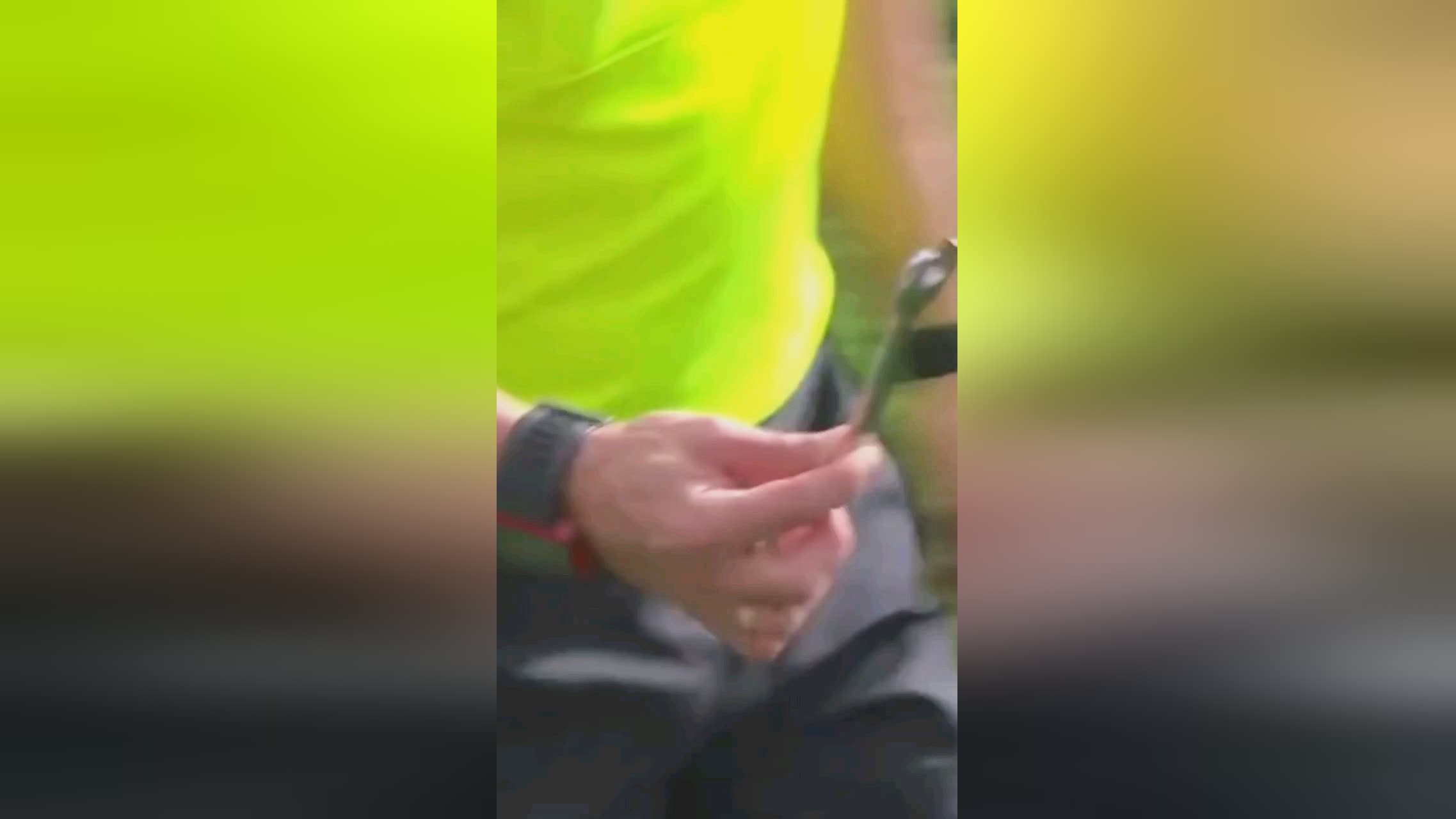 佳表现